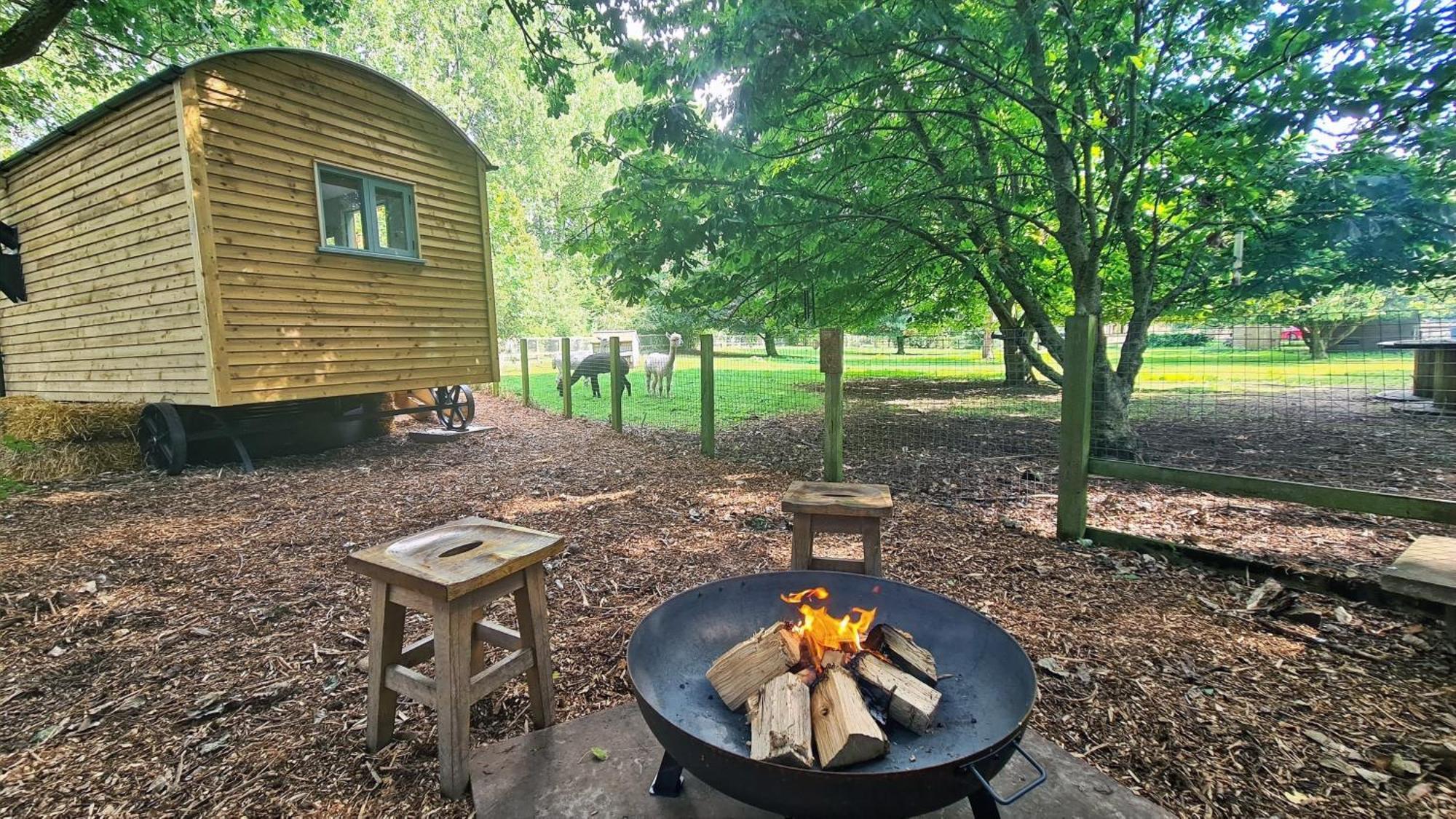 Hotel Horsley Hale Farm Glamping Ely Habitación foto